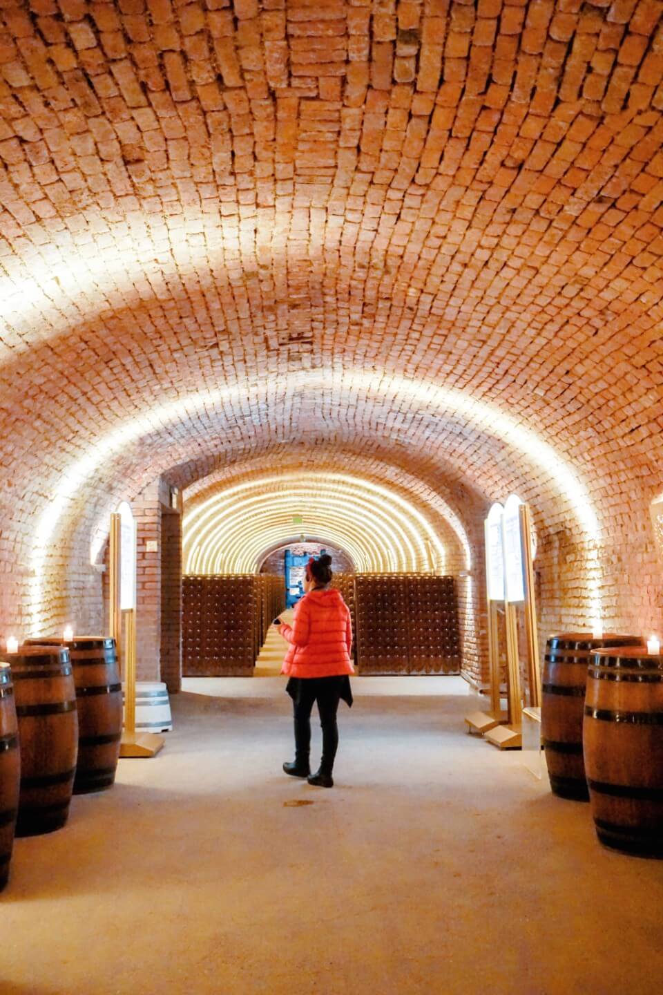 Touring the Schlumberger Cellar World, Best things to do in Vienna in January - Austria