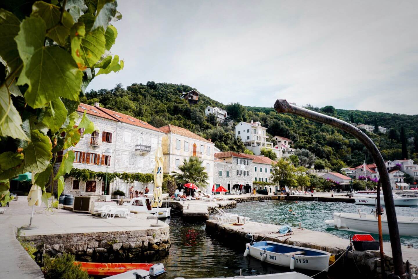 Rose, Lustica Peninsula Rose, Lustica Peninsula - Best Places to Visit in Montenegro
