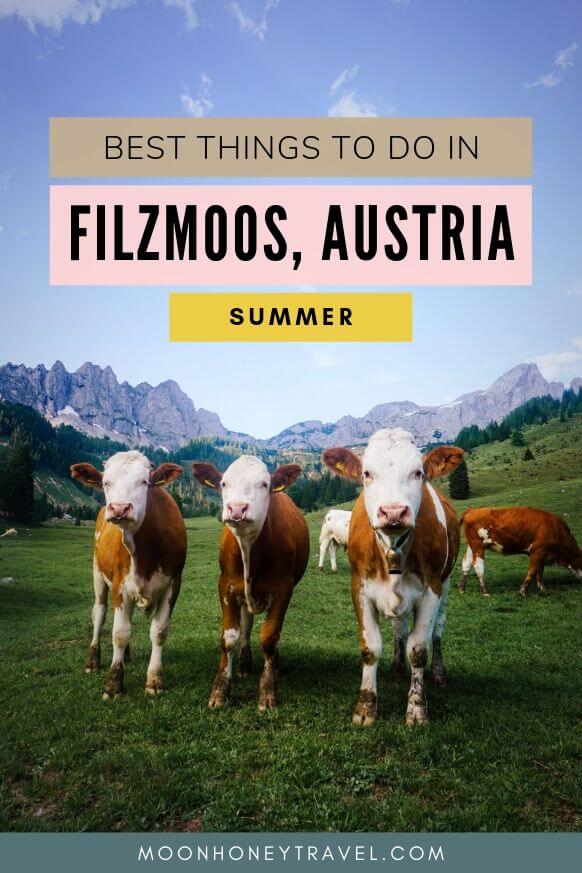 Filzmoos im Sommer, Österreich
