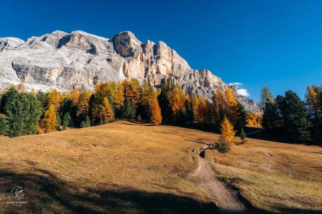 Armentara Plateau in autumn, Alta Badia, Dolomites
