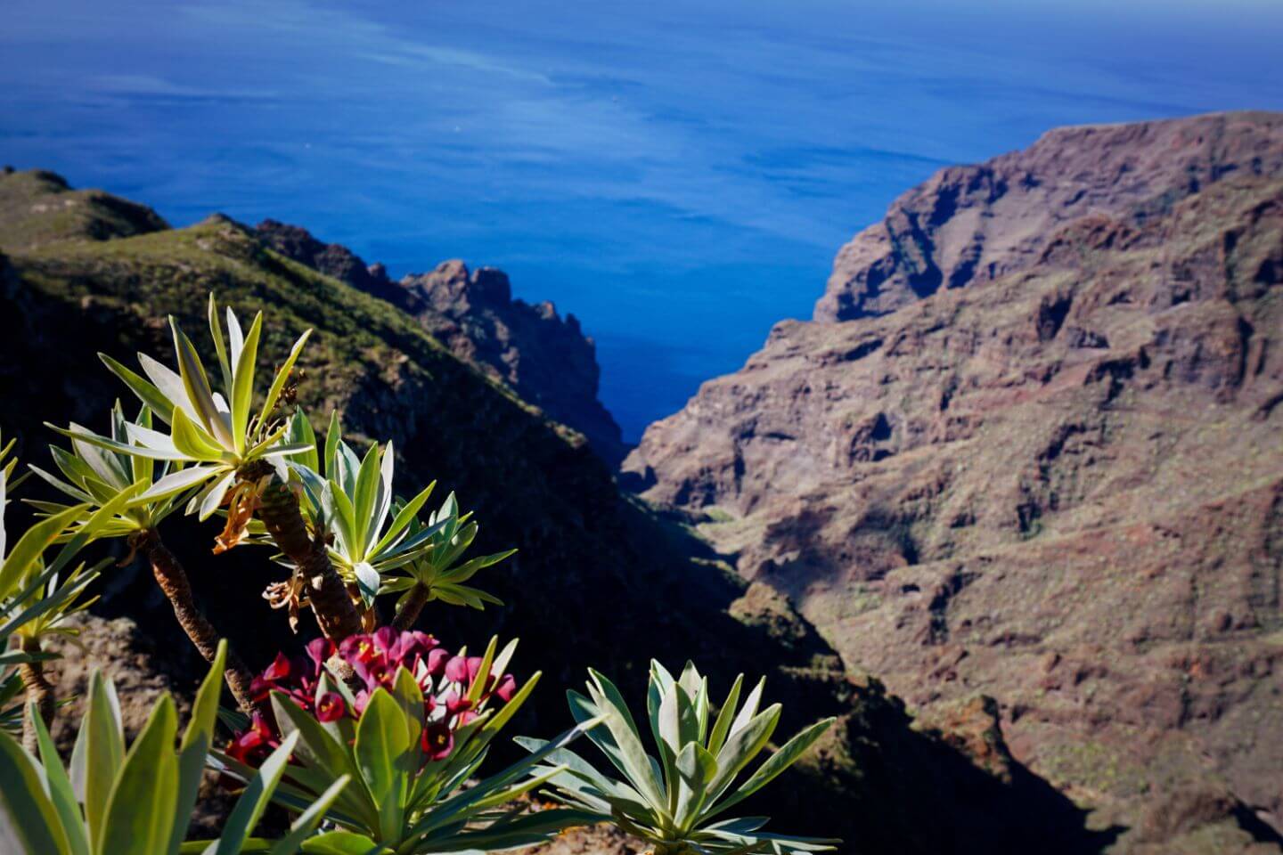 View of Barranco Seco, Los Gigantes Cliffs, Tenerife