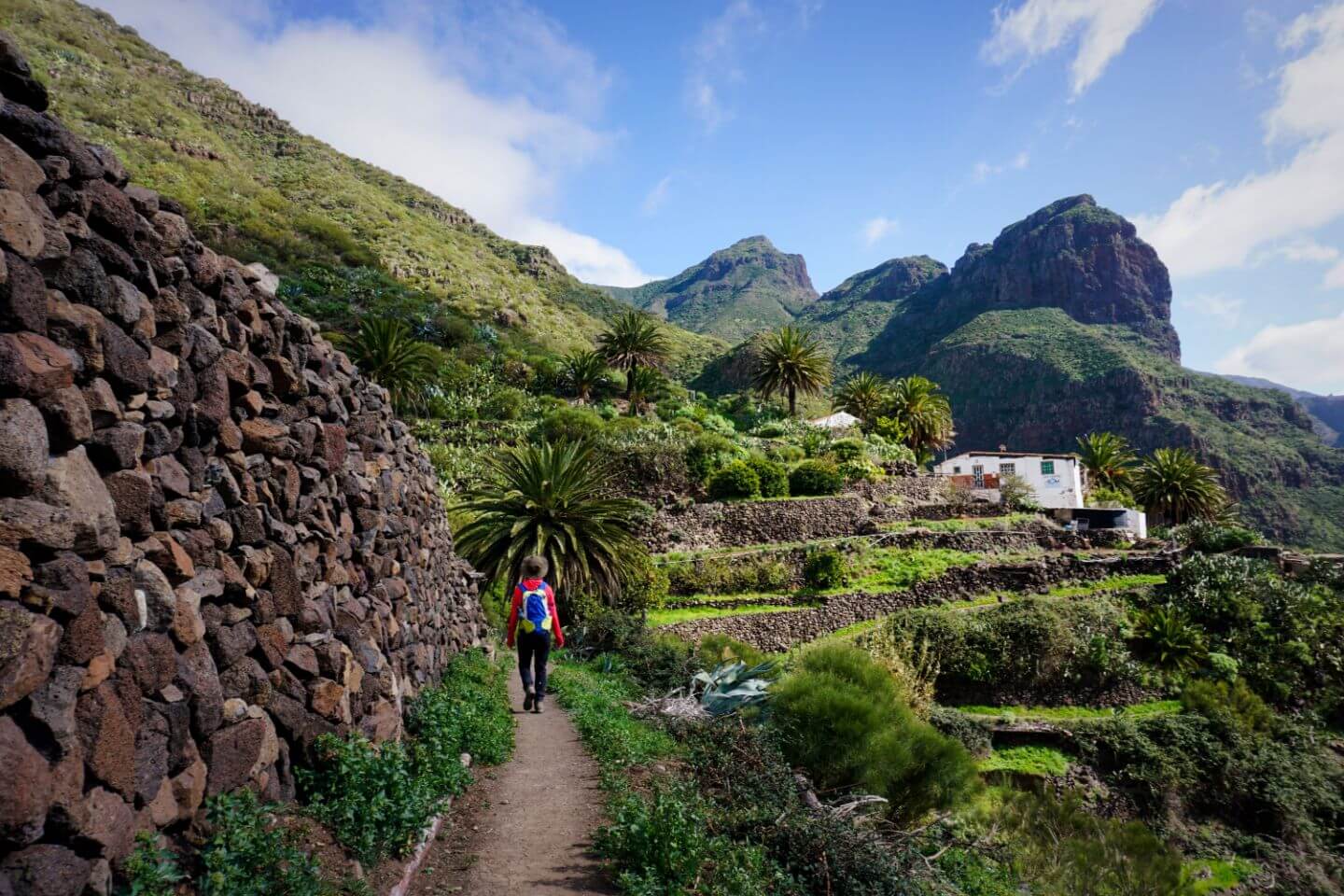 hiking tours tenerife