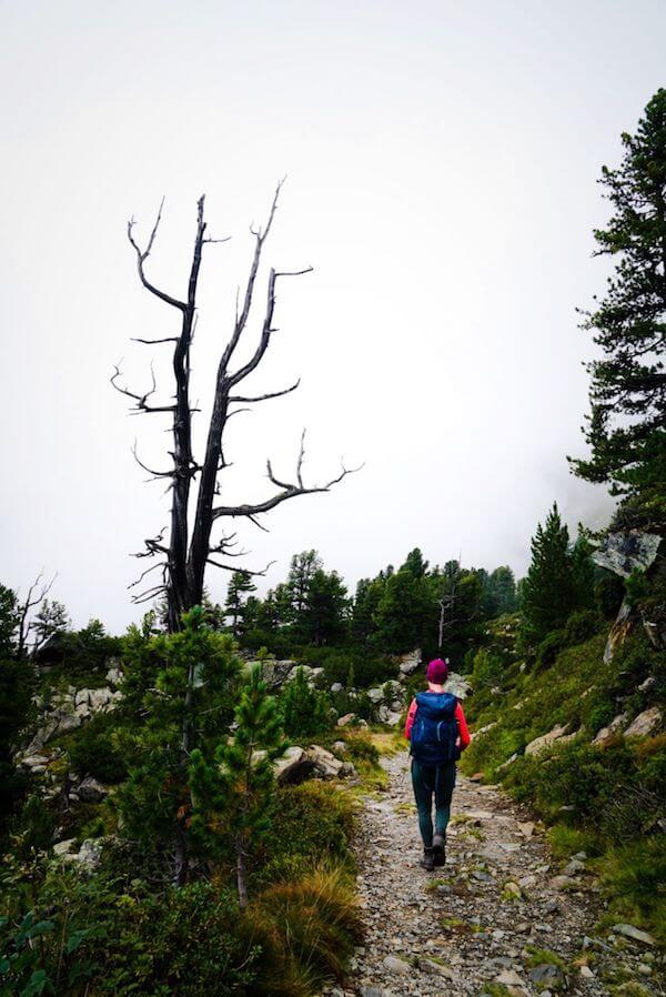 Der Zirbenweg hoch über Innsbruck, leichte Wanderung in Tirol