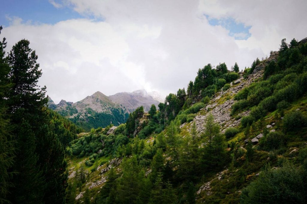 Wandern entlang des Zirbenwegs, Tuxer Alpen, Österreich