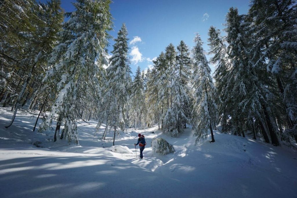 Path of the Larches, Italian Dolomites