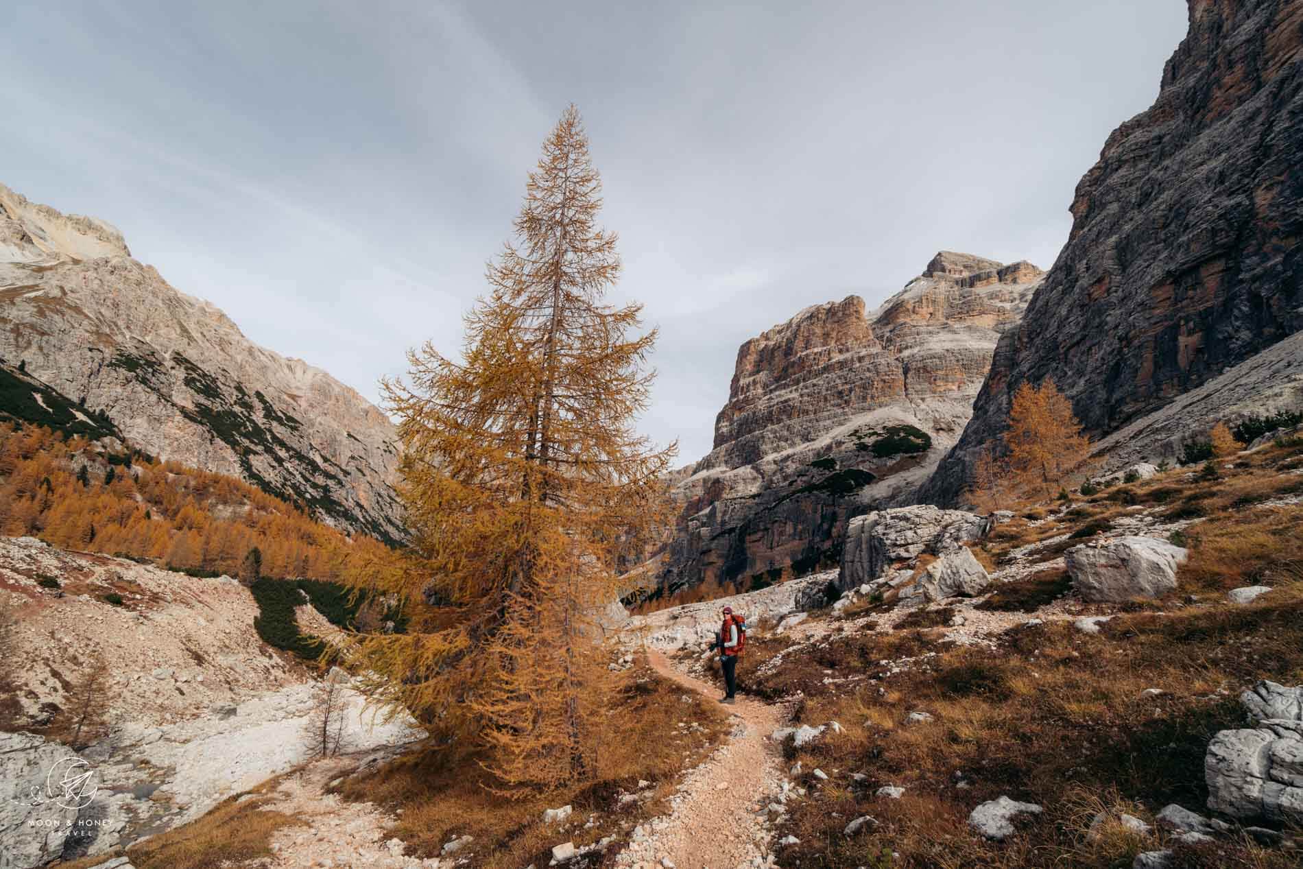 Tofana di Rozes Circuit Trail, Ampezzo Dolomites