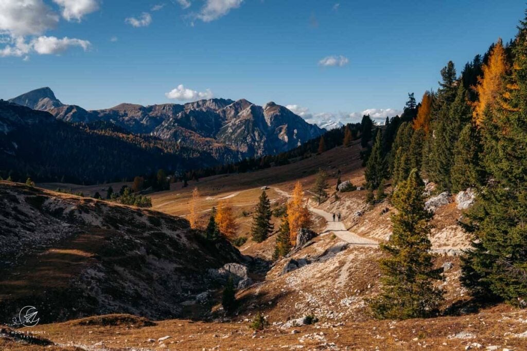 Prato Piazza Plätzwiese, Dolomites