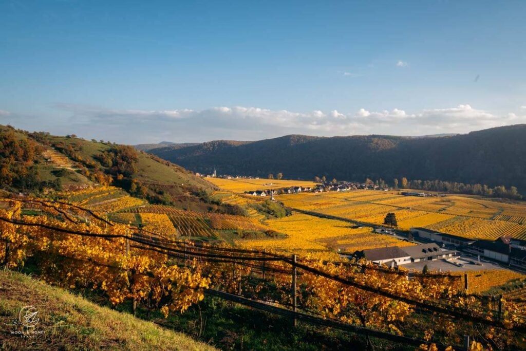 Kuhberg to Ried Loibenberg Vineyard hiking trail, Wachau World Heritage Trail