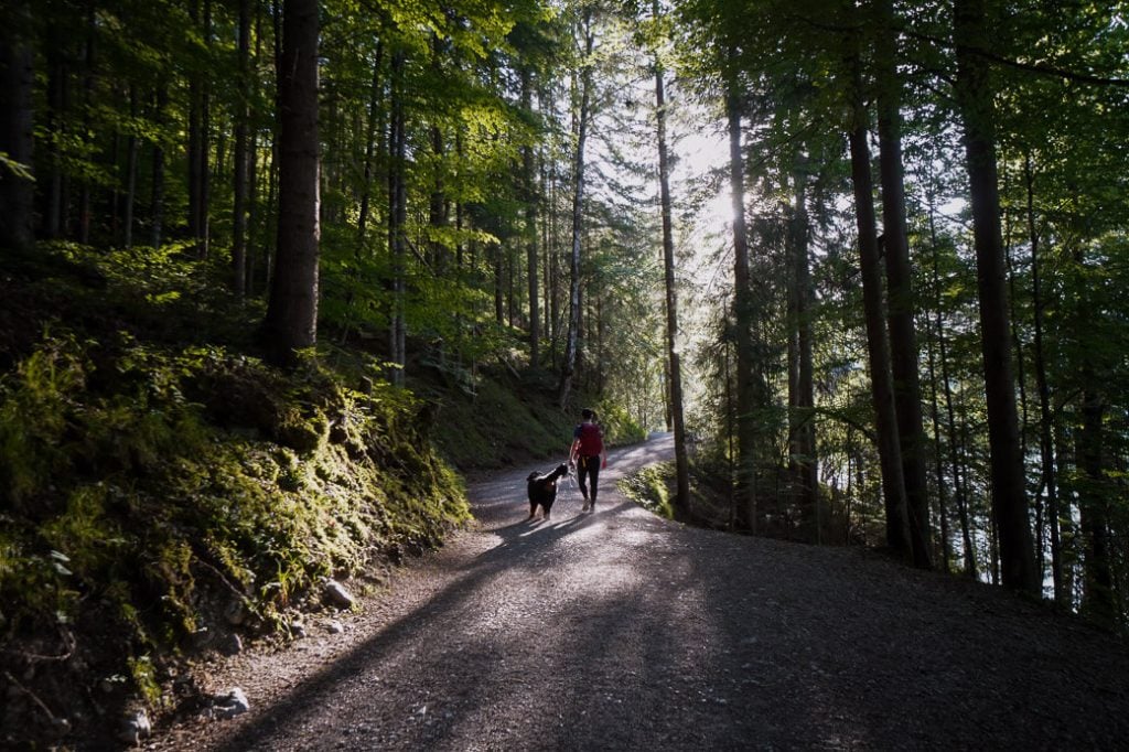Lake Eibsee Circuit Hike, Germany