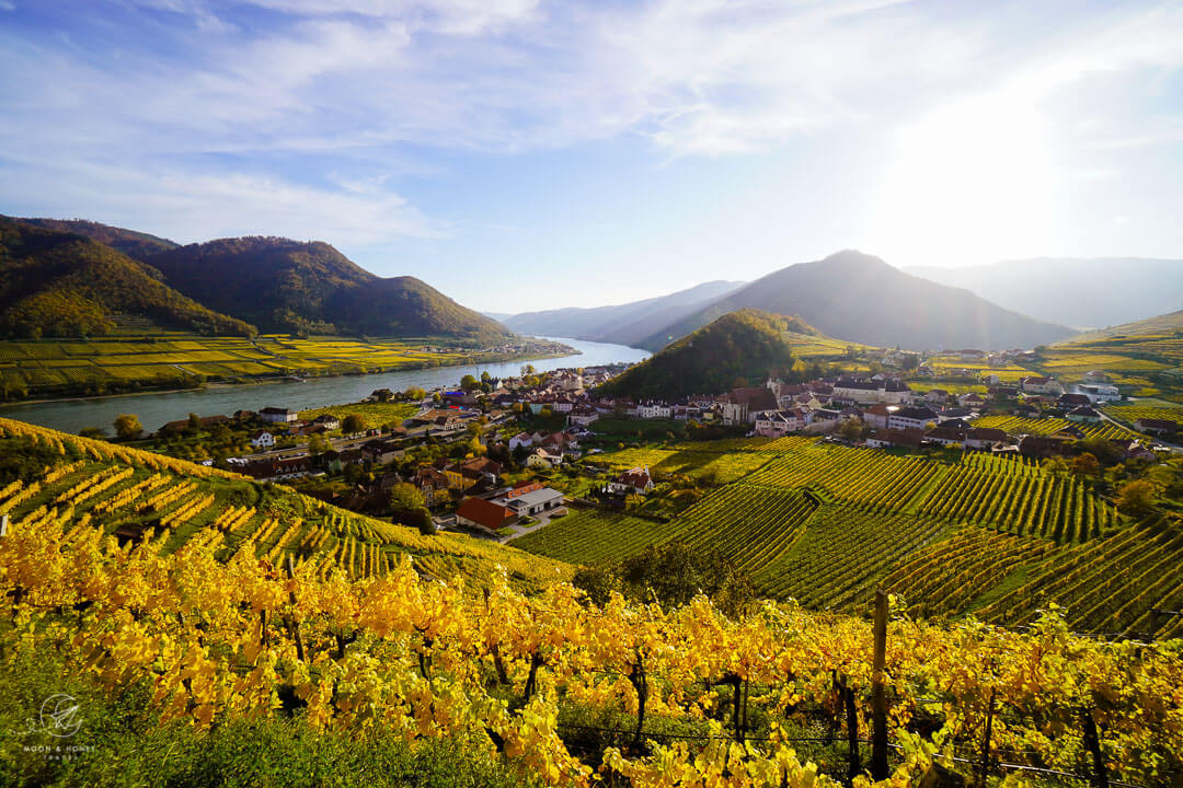 how-to-visit-the-wachau-valley-in-austria-moon-honey-travel