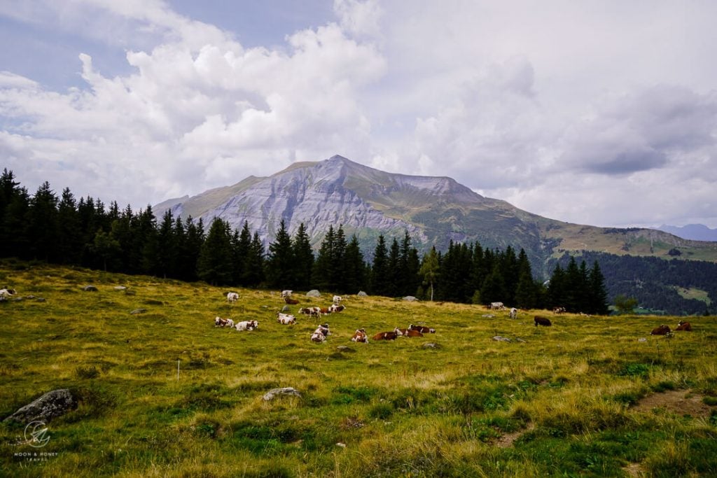 Auberge du Truc mountain pasture, Tour du Mont Blanc, France