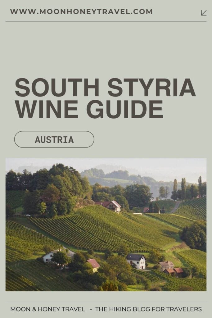 south styria wine tasting guide