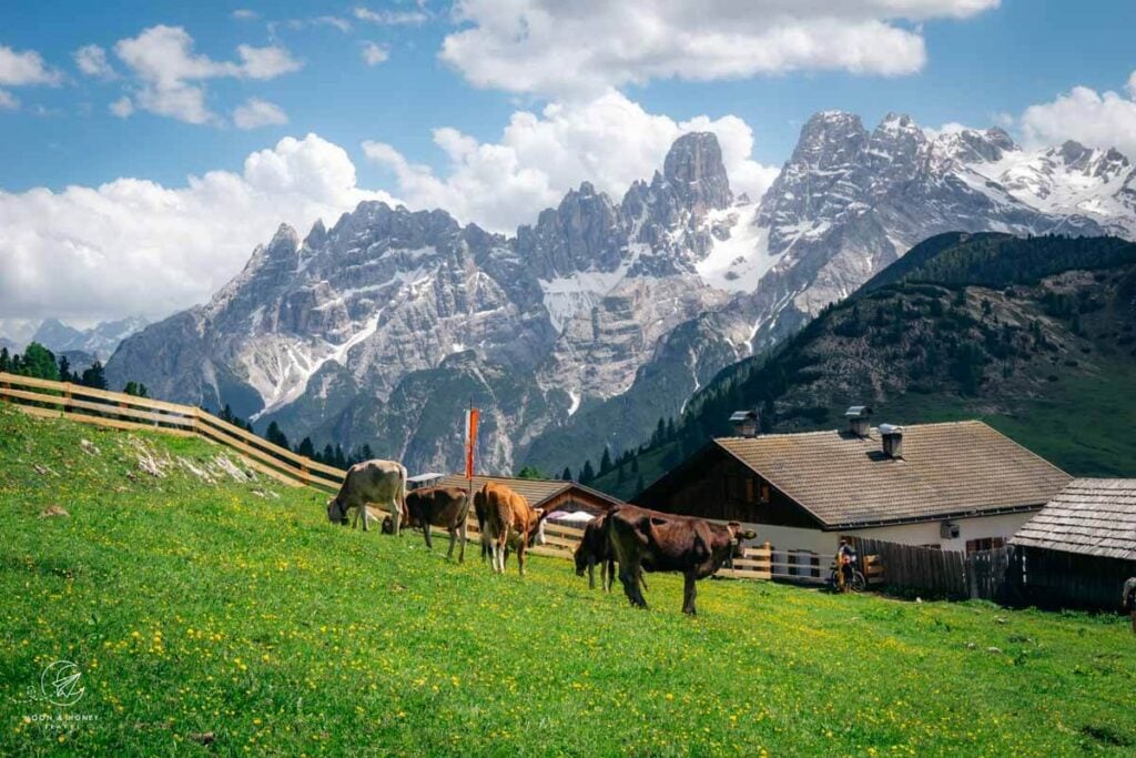 Malga Prato Piazza / Almhütte Plätzwiese, Dolomites