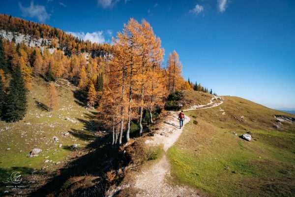 Debela Pe Hike In The Julian Alps Slovenia debela-pe-hike-in-the-julian-alps-slovenia