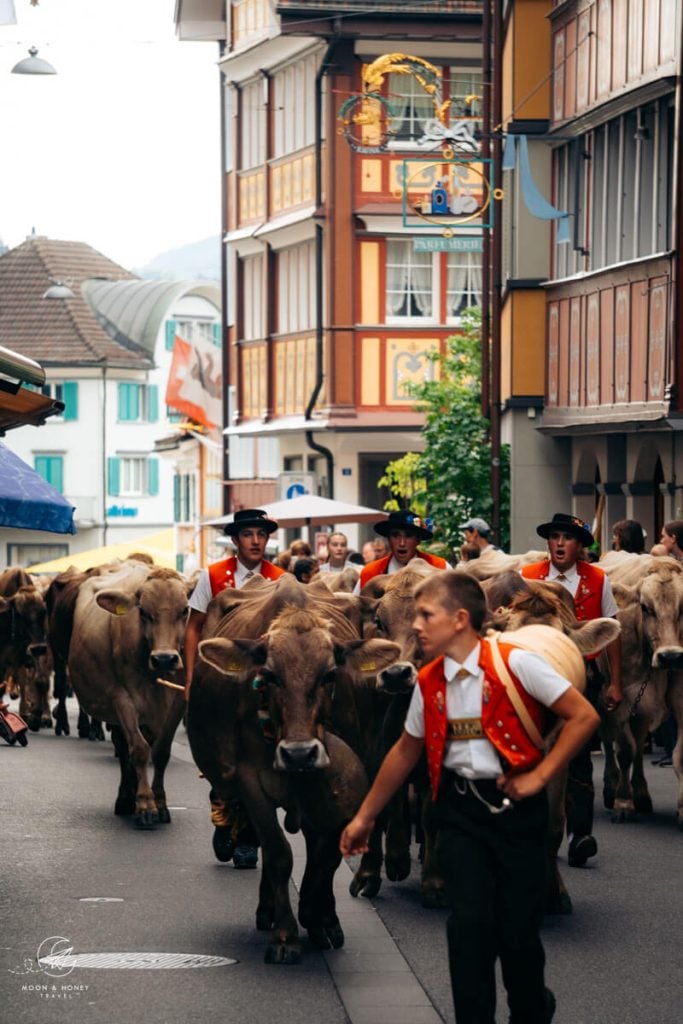 Appenzell Alpabzug Almabtrieb, Switzerland