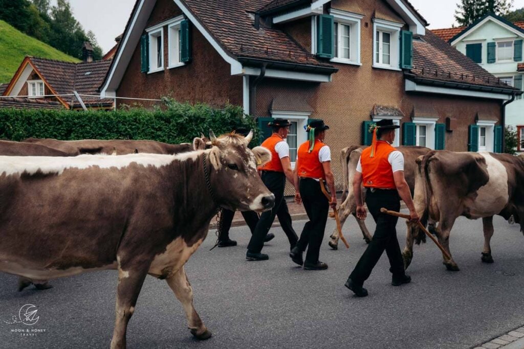 Weissbad Alpabzug, Appenzell, Switzerland
