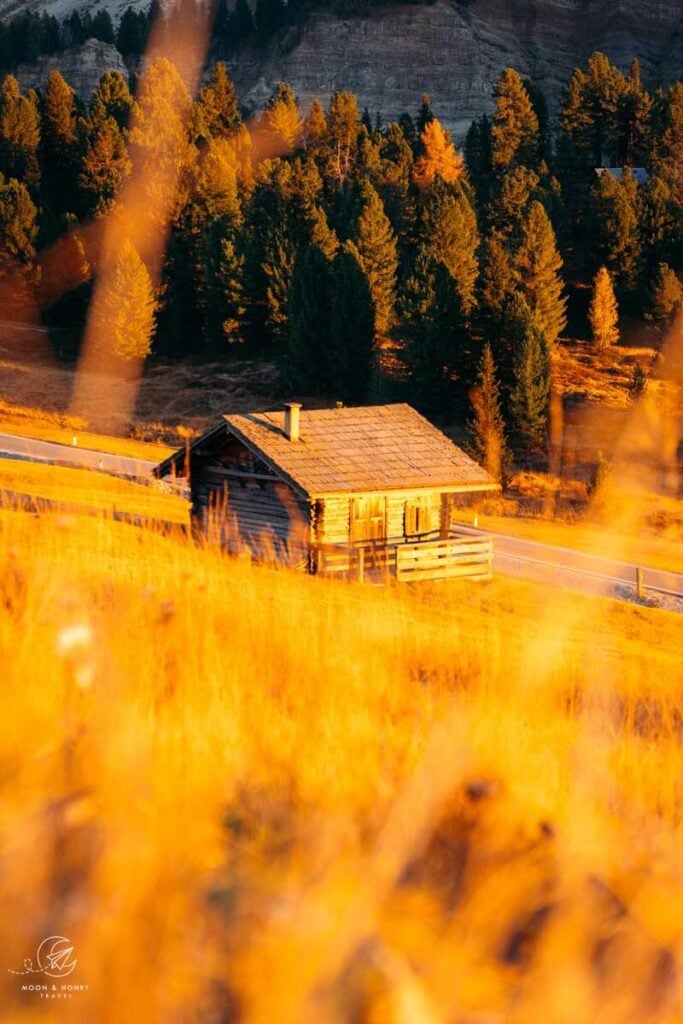 Hay hut, รtia de Bรถrz, Wรผrzjoch Trailhead