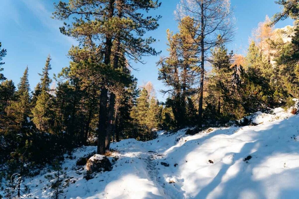 San Cassiano - La Crusc forest trail, Alta Badia