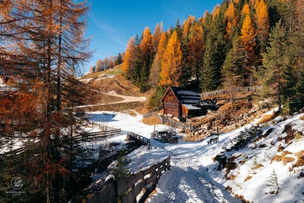 Rudiferia, San Cassiano, Alta Badia