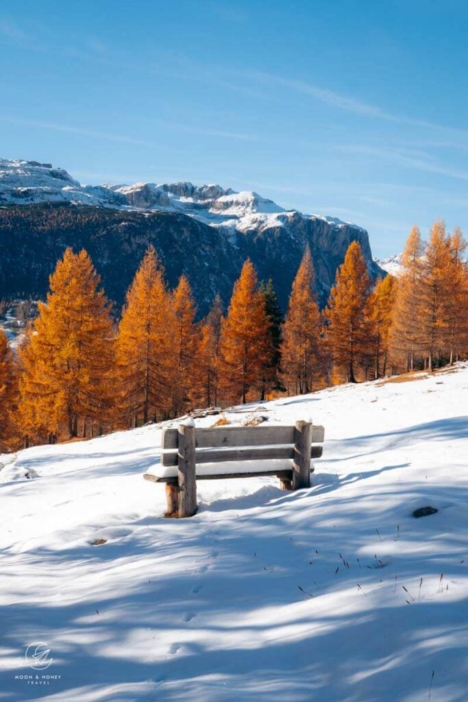 Bench along the Tru di Lersc Path of the Larches, San Cassiano, Alta Badia