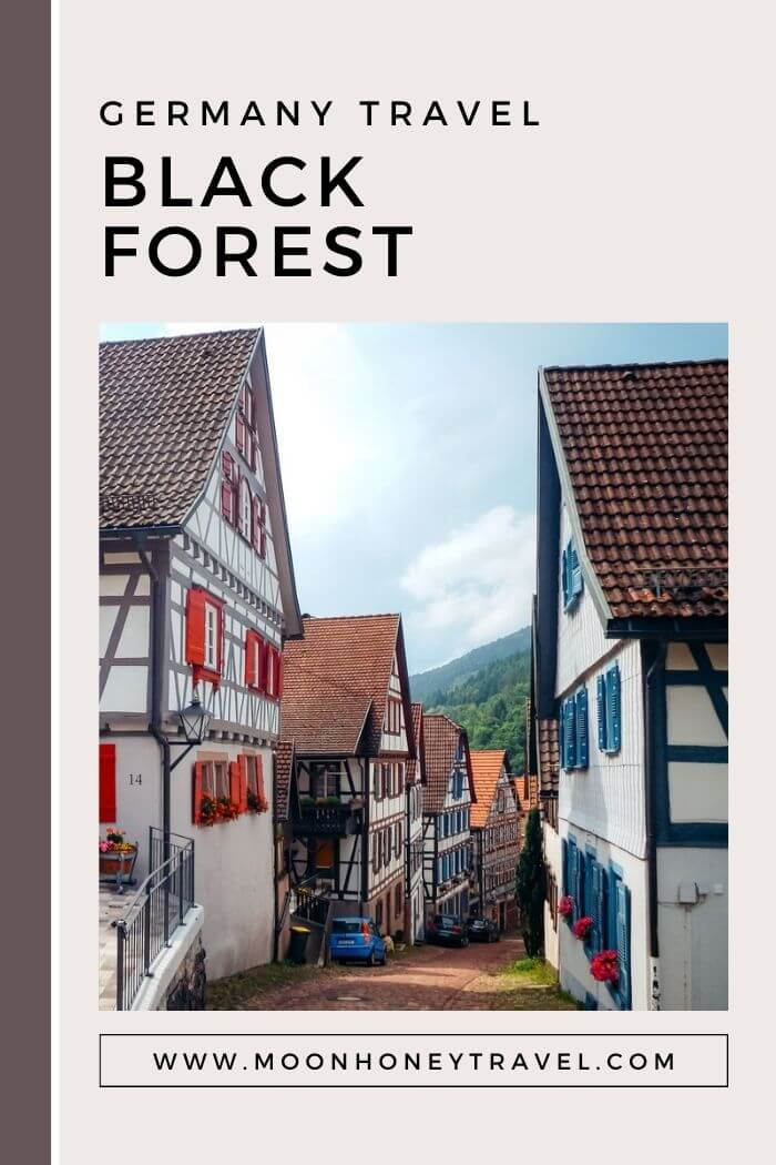 The Ultimate Black Forest Travel Guide – OBBI