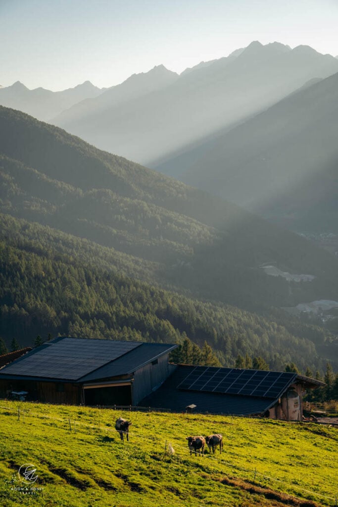 Farm, Stubai Valley, Austria