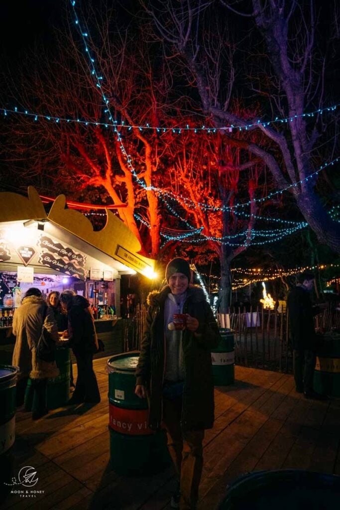 Altes AKH Christmas market in autumn, Vienna, Austria