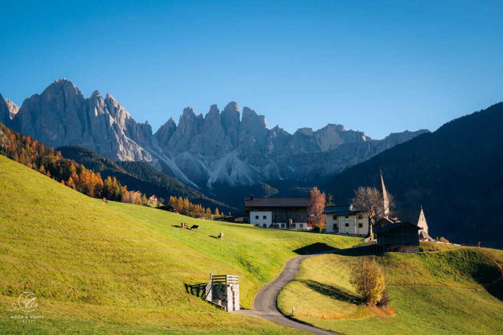 Santa Maddalena, Val di Funes in November
