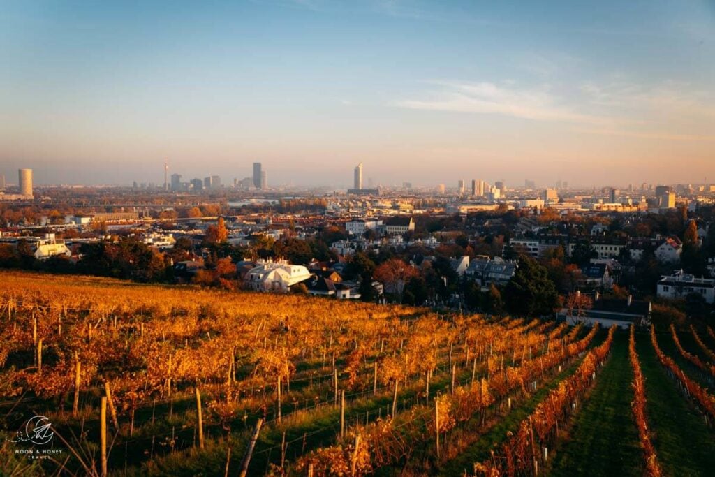 Vienna in Fall, Austria