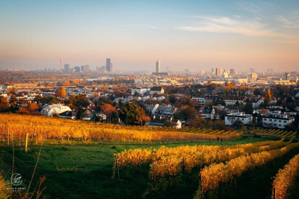 Vienna Nussberg Sunset, November, Austria