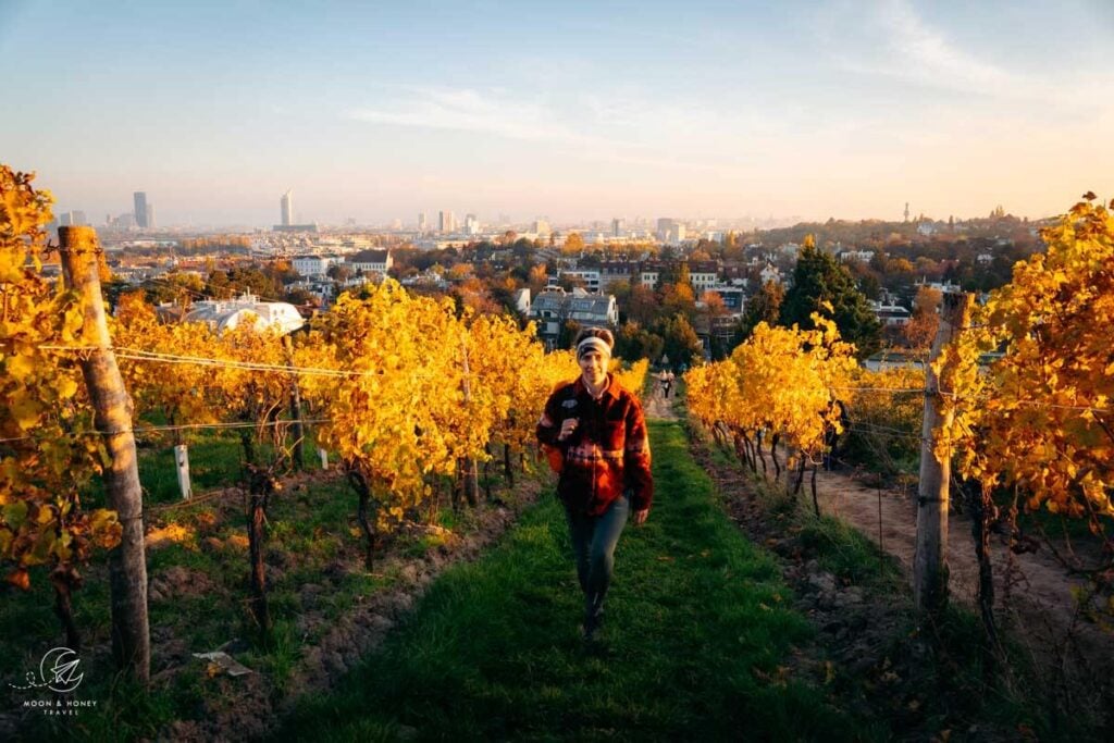 hiking through Vienna's vineyards in early November, Austria