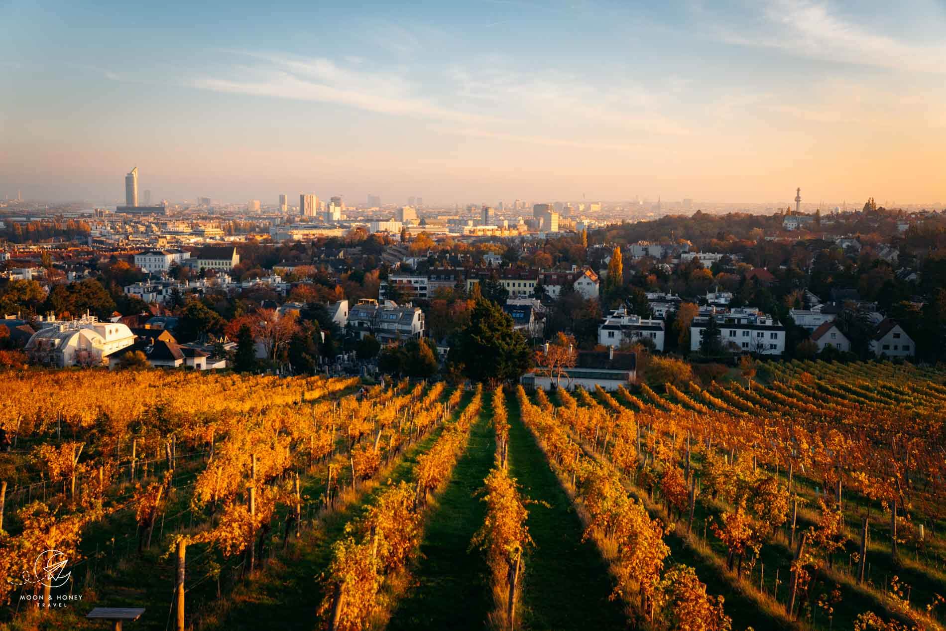 Vienna in November: What to Do in Late Autumn