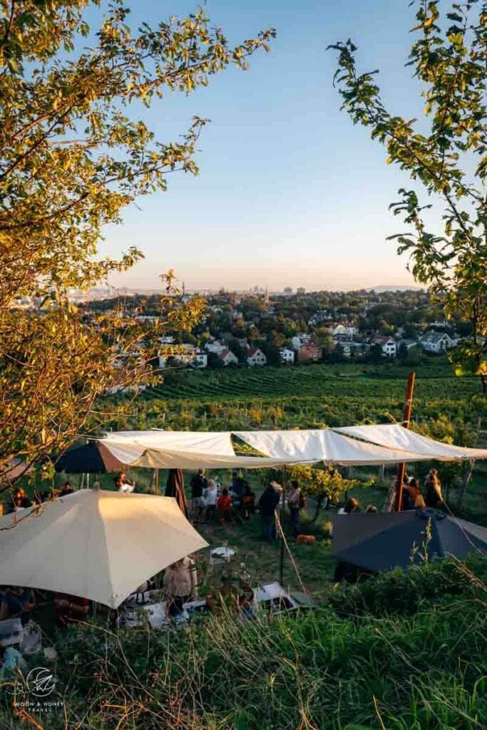 Seasonal Buschenschank wine tavern in Vienna