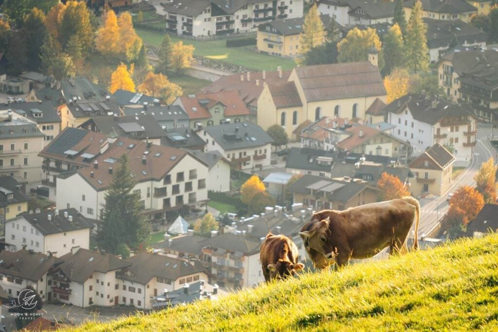 San Candido, Dolomites Candido-Innichen-18