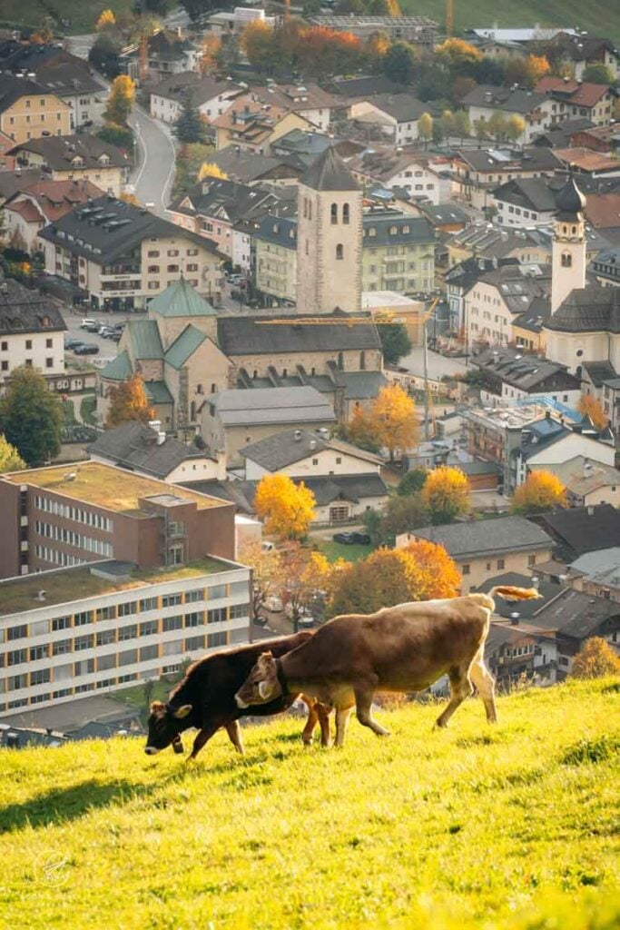 San Candido Mountainside Accommodations, Italy