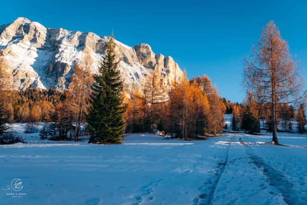 Armentara Meadows in November, Alta Badia 