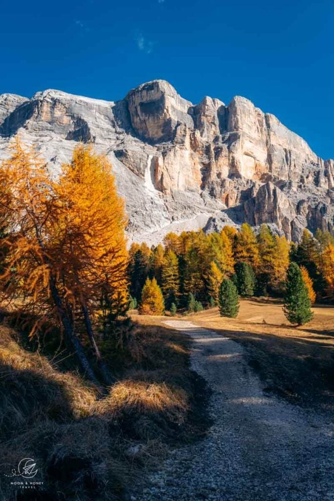 Armentara Meadows in October, Alta Badia