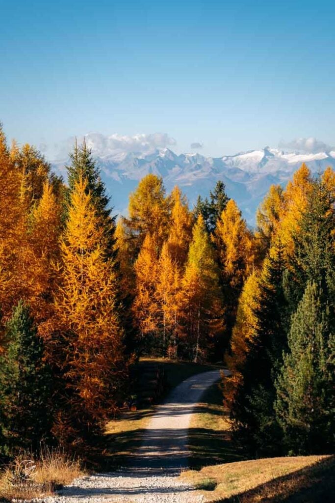 Vibrant fall colors, Alta Badia