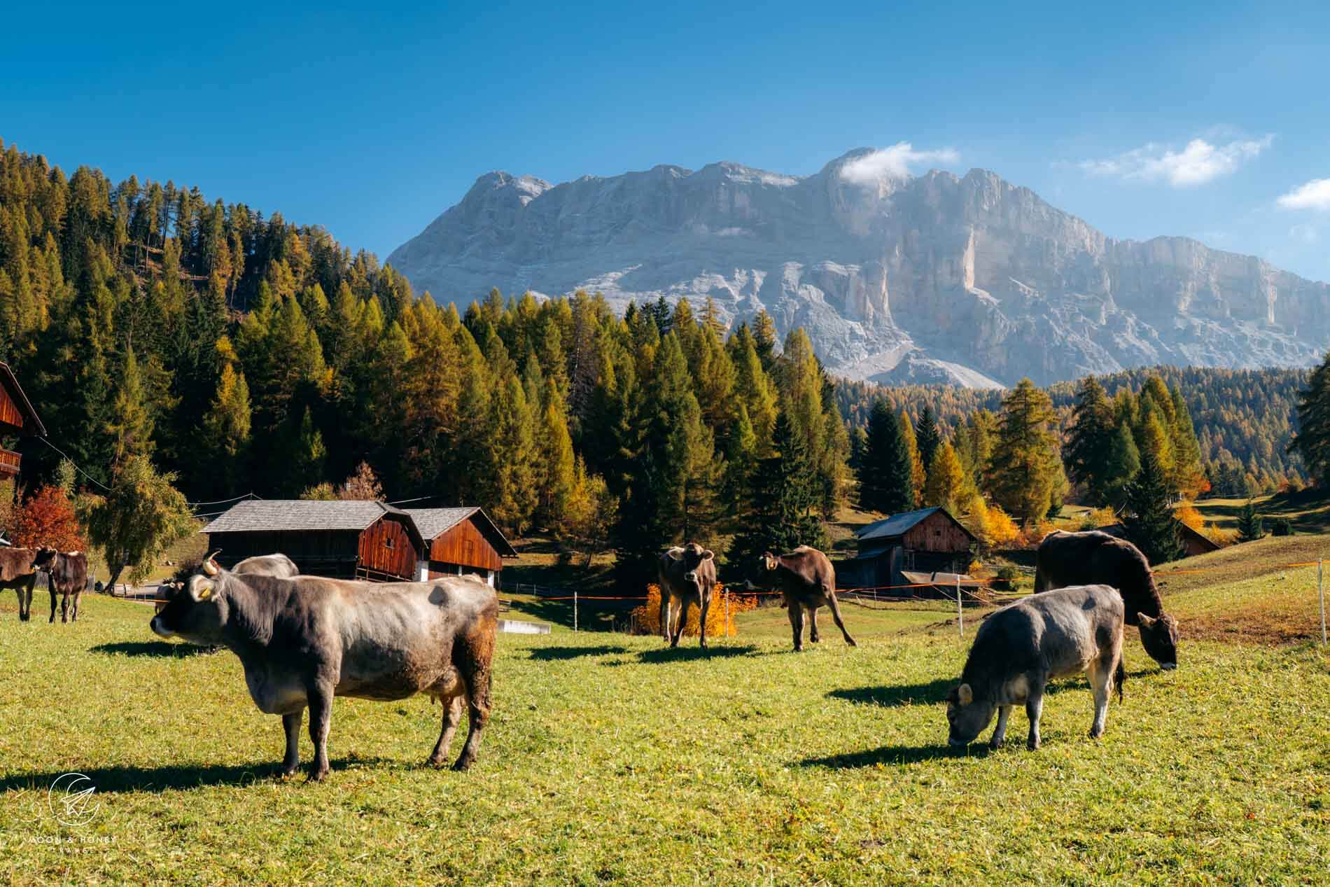 Dolomites Honeymoon: Tips for Planning a Perfect Trip