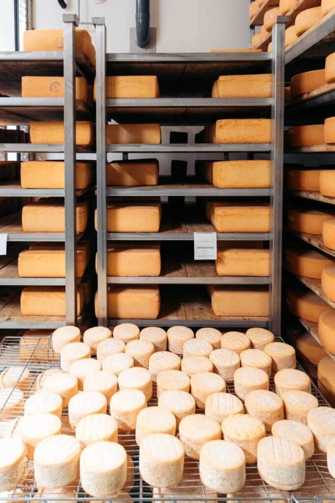 Cheese at Käserei Sexten