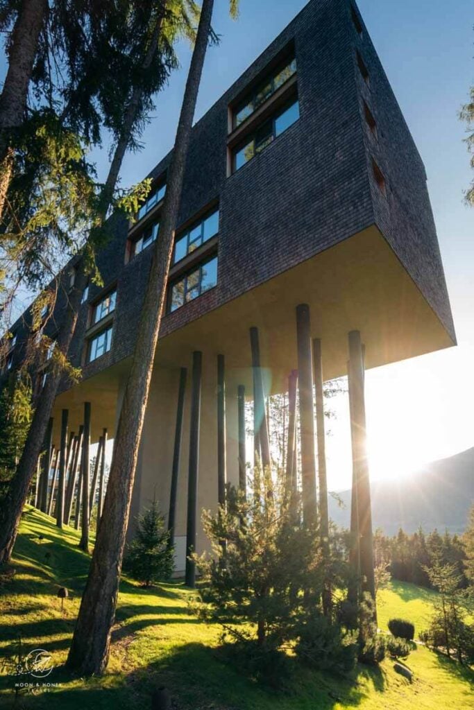 My Arbor Adults-Only Tree Hotel, Dolomites