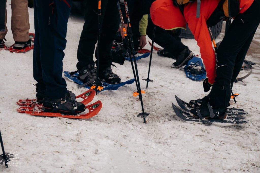 Snowshoeing Group Guided Tour in Sexten