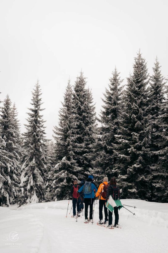 Snowshoeing in sexten, Dolomites