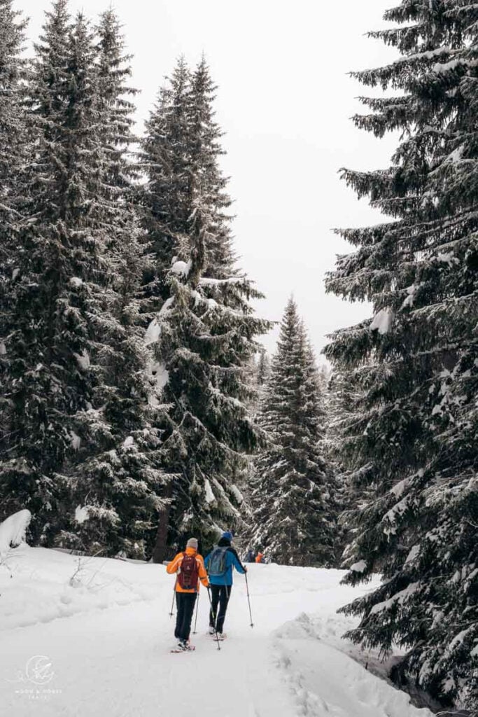 Snowshoeing in sexten with the Alpinschule Dreizinnen 