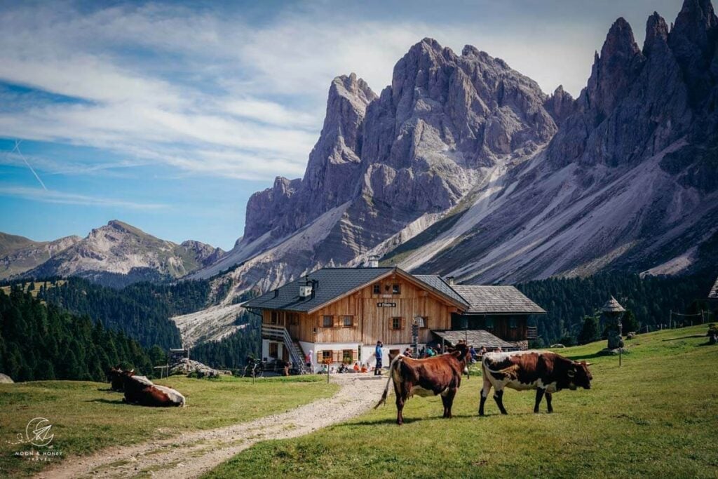 Resciesa Plateau - Malga Brogles Hike, Val Gardena