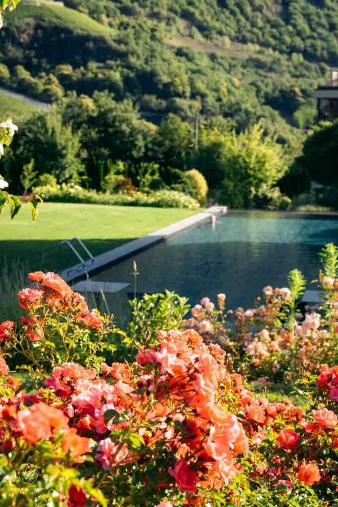 Boutique Hotel AMARIL grounds, Val Venosta, South Tyrol, Italy