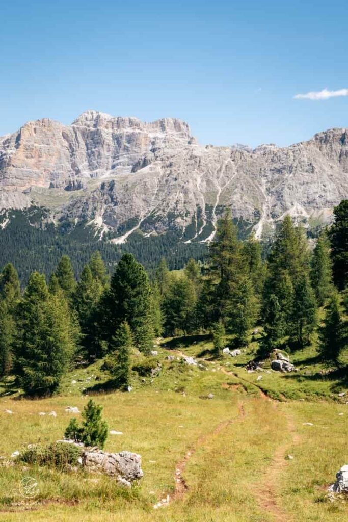 Setsas Mountain Pasture, Dolomites