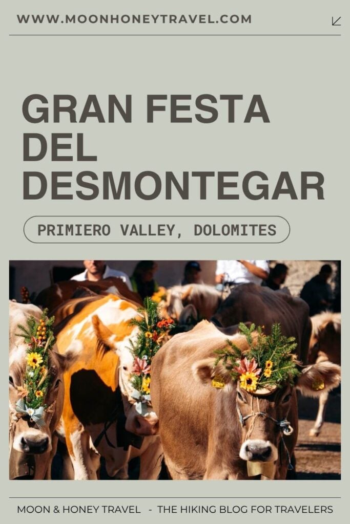 How to attend the Gran Festa del Desmontegar, Primiero Valley, Pale di San Martino Dolomites