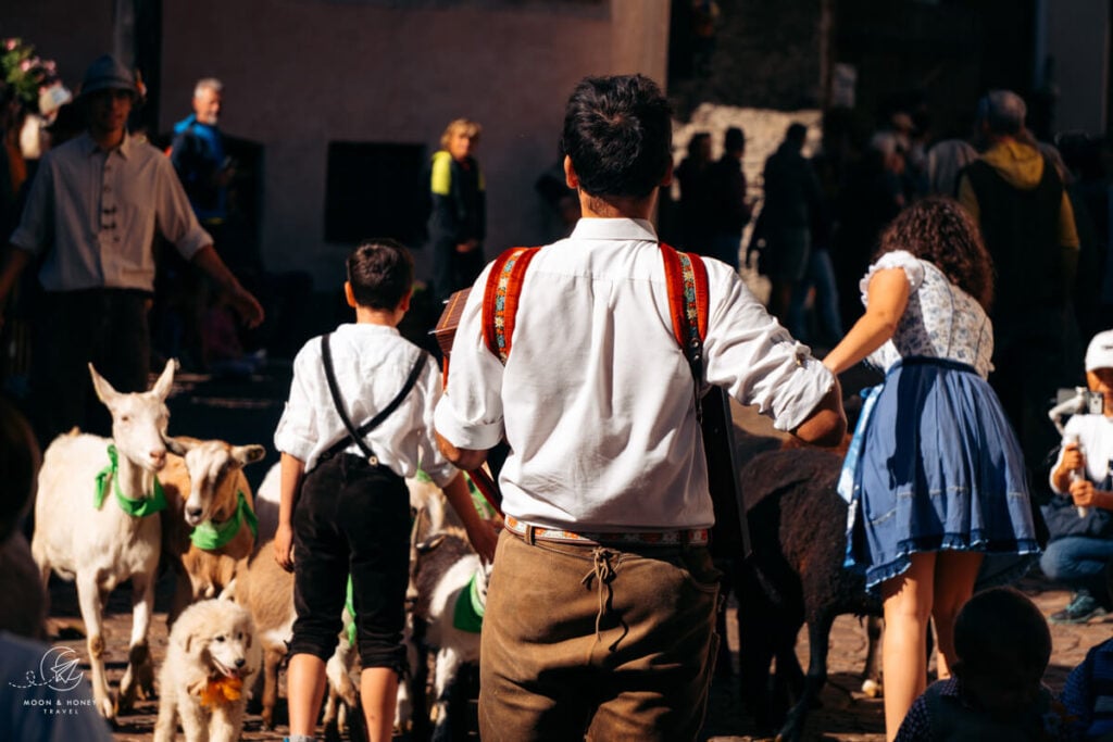 Accordion Player, Gran Festa del Desmontegar, Primiero Valley, Pale di San Martino Dolomites