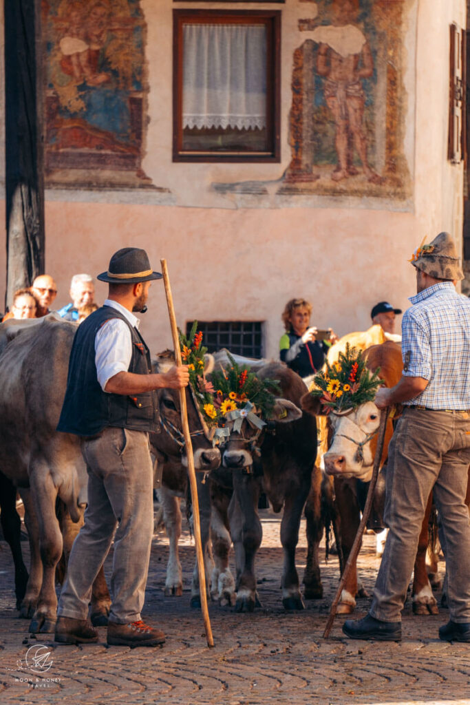 Gran Festa del Desmontegar, Primiero Valley, Pale di San Martino Dolomites